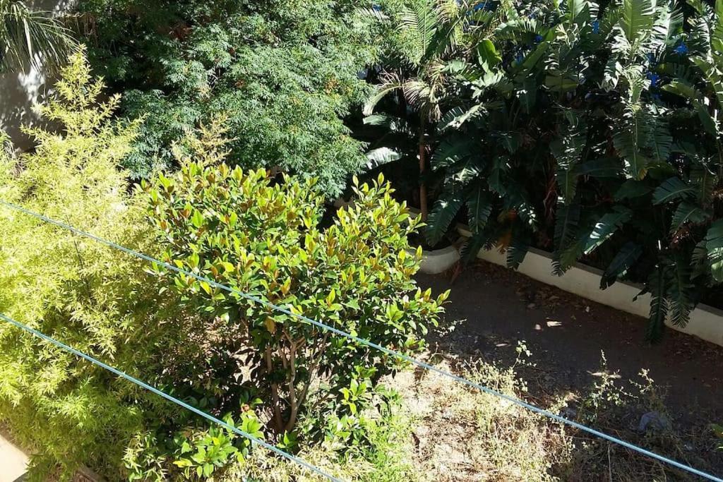 Seaside Family Apartment Loutraki Dış mekan fotoğraf